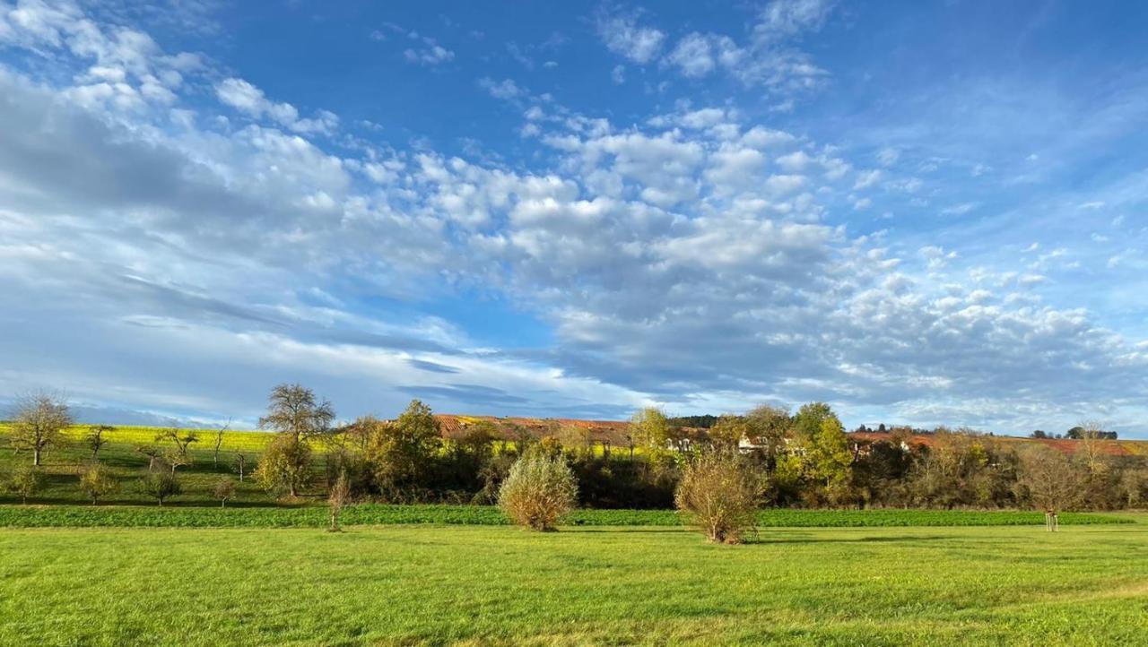 Hotel Restaurant Lamm Rosswag Vaihingen an der Enz Exteriér fotografie